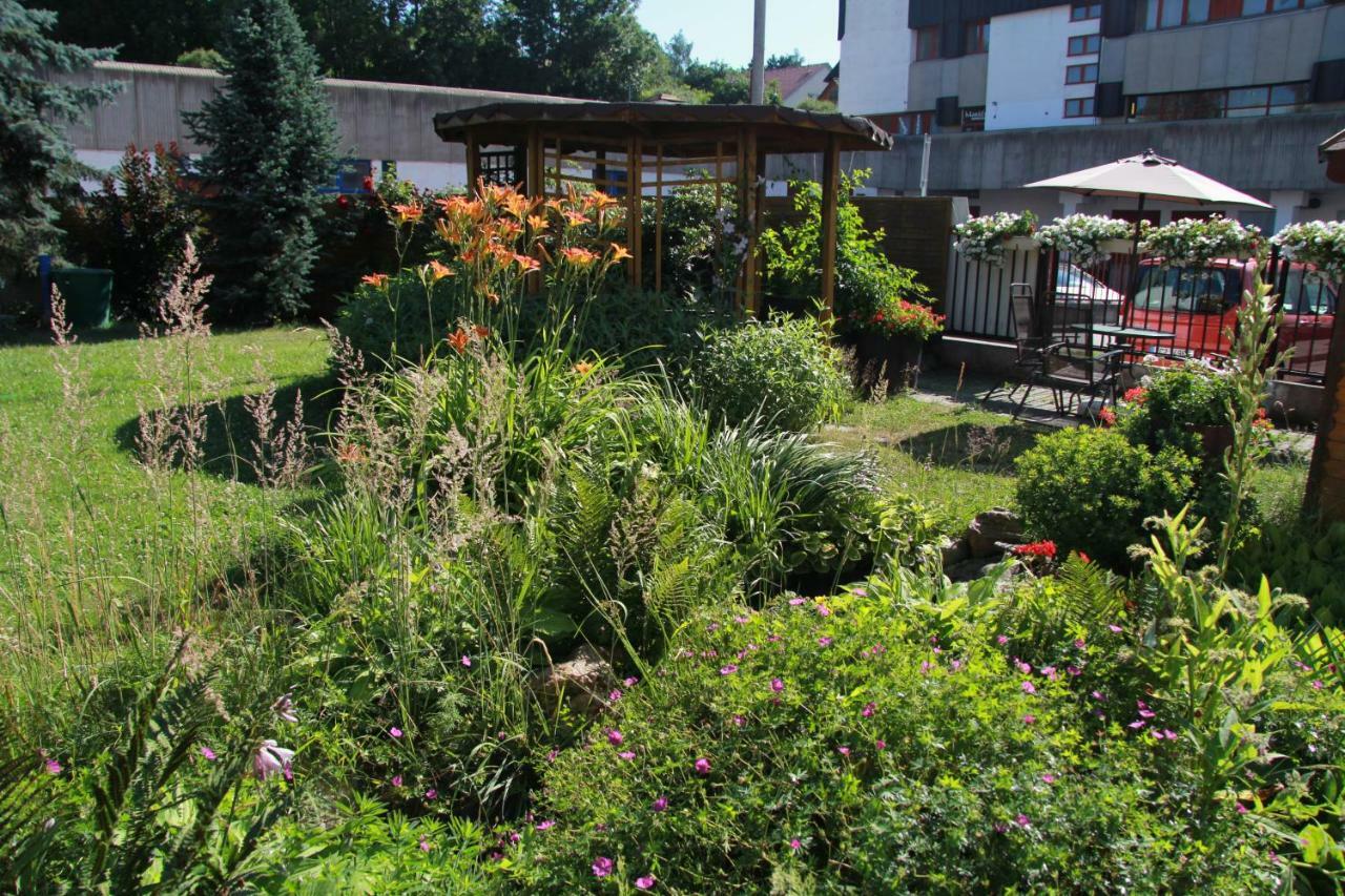 Apartman Brasov, Týn nad Vltavou Zewnętrze zdjęcie